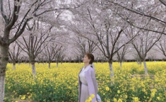 春天浪漫写真,邂逅花海，共赴浪漫之约