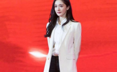秀人网韩静安,时尚界的璀璨新星